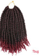 TOMO Pre-Twisted Passion Twist Crochet Hair – African Dirty Braids