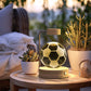 Crystal Ball Cosmic Dinosaur Night Light – USB Powered Warm Bedside Lamp