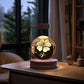 Crystal Ball Cosmic Dinosaur Night Light – USB Powered Warm Bedside Lamp