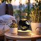 Crystal Ball Cosmic Dinosaur Night Light – USB Powered Warm Bedside Lamp