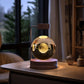 Crystal Ball Cosmic Dinosaur Night Light – USB Powered Warm Bedside Lamp