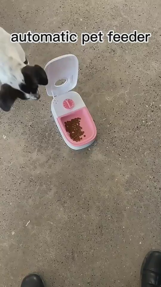 Automatic pet feeder with timer, smart food dispenser for cats and dogs.